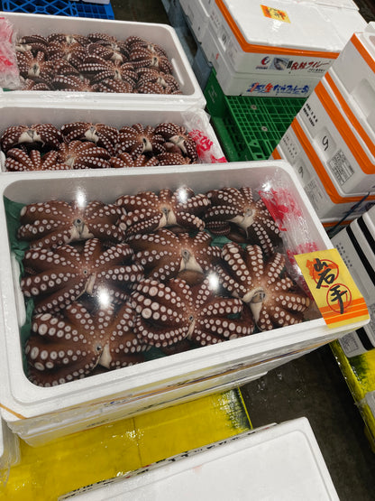 Premium Steamed Octopus (Mushi Tako) - 2.5~4.5LB