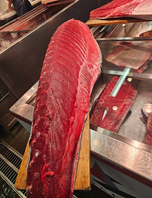 Premium Japanese Farm-Raised Bluefin Tuna Loin (Hon-Maguro) 30~50LB Back Loin