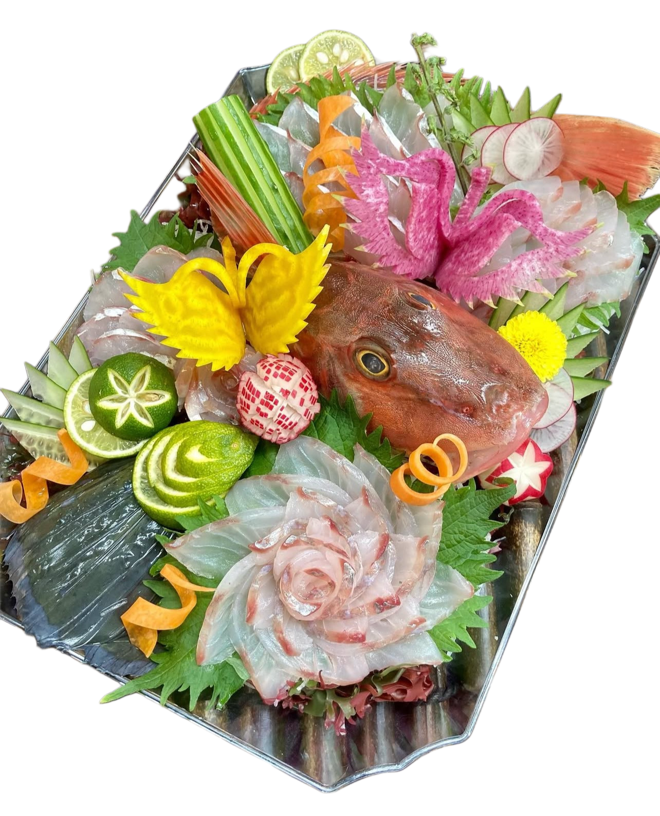 Premium Japanese Fresh Bluefin Gurnard (Houbou) 1.4~2.7LB