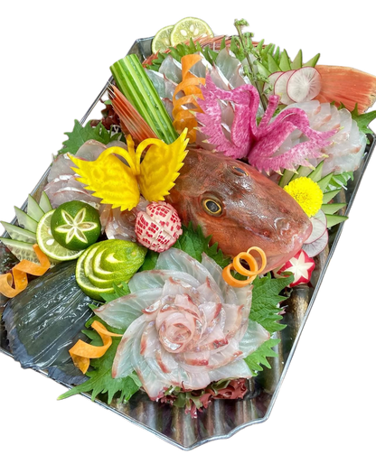 Premium Japanese Fresh Bluefin Gurnard (Houbou) 1.4~2.7LB