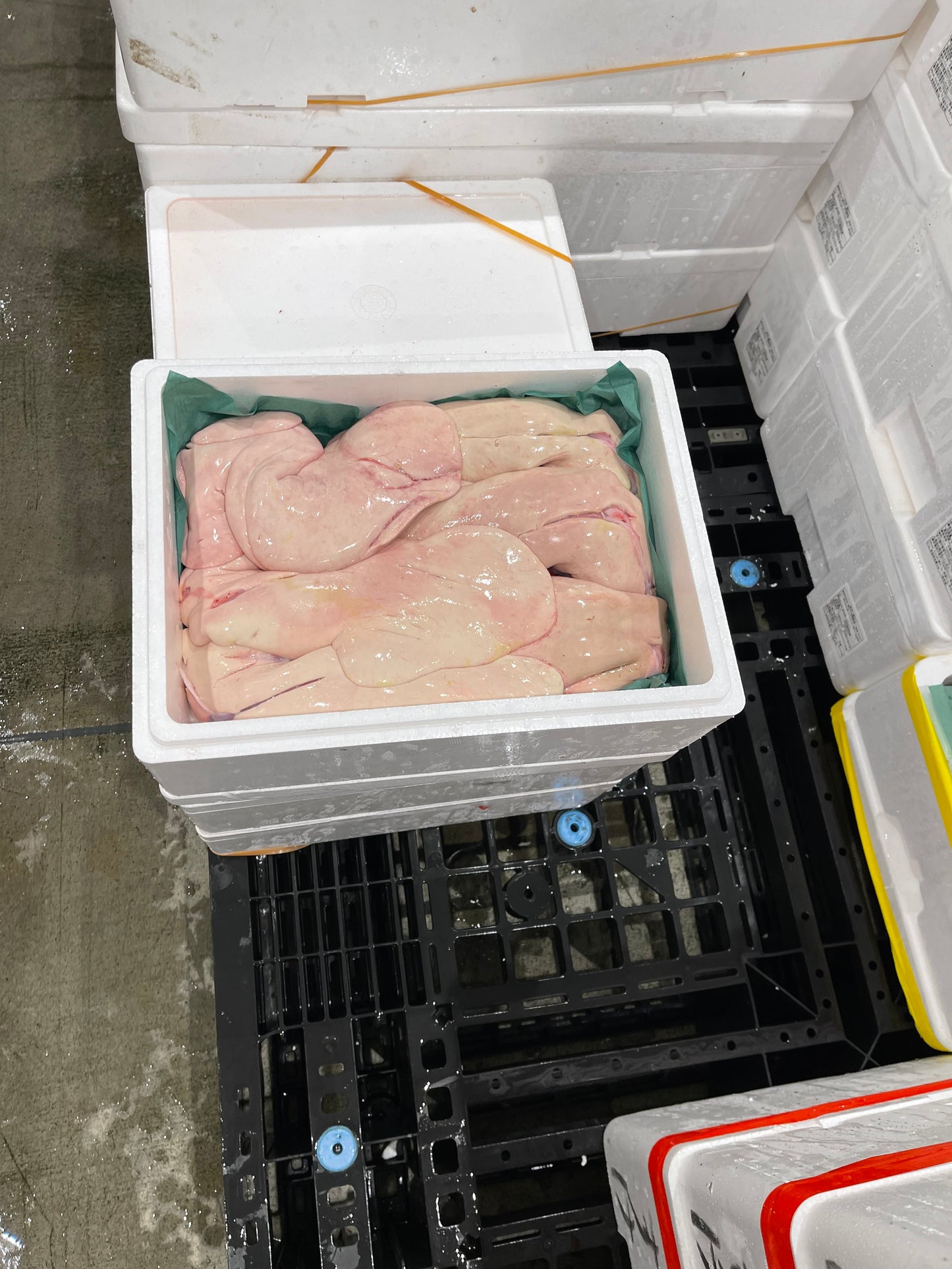Premium Japanese Monkfish Liver (Raw Ankimo) 1.2~3.4LB