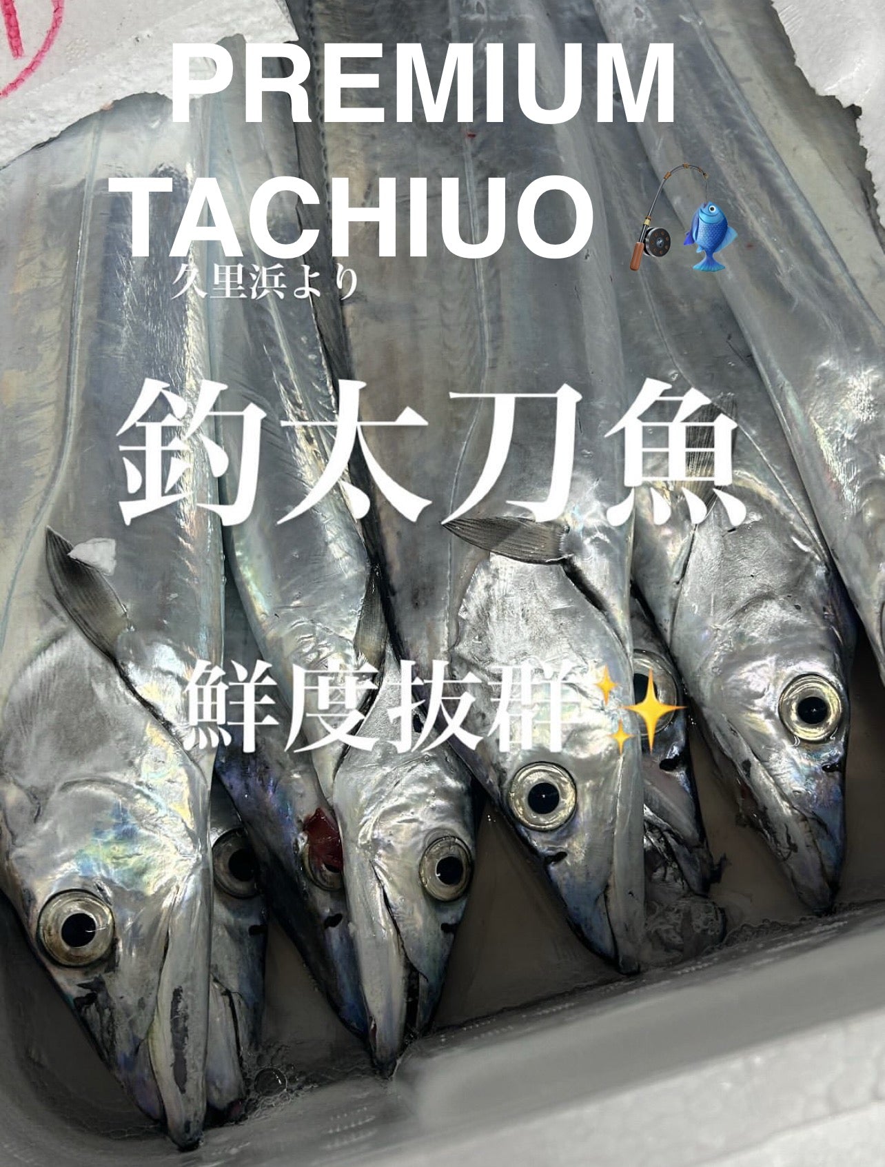Premium Line-Caught Japanese Hairtail (Tachiuo) 2.7~4.5LB