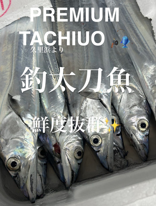 Premium Line-Caught Japanese Hairtail (Tachiuo) 2.7~4.5LB