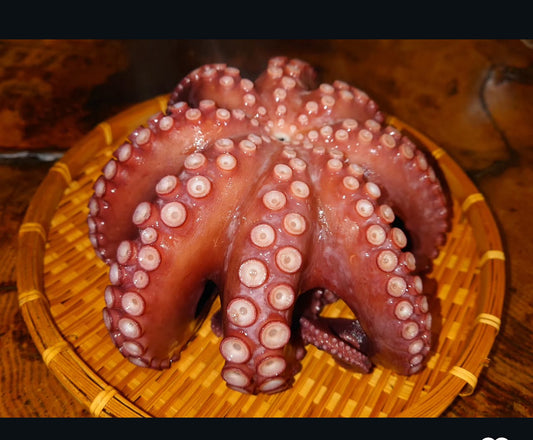 Premium Steamed Octopus (Mushi Tako) - 2.5~4.5LB