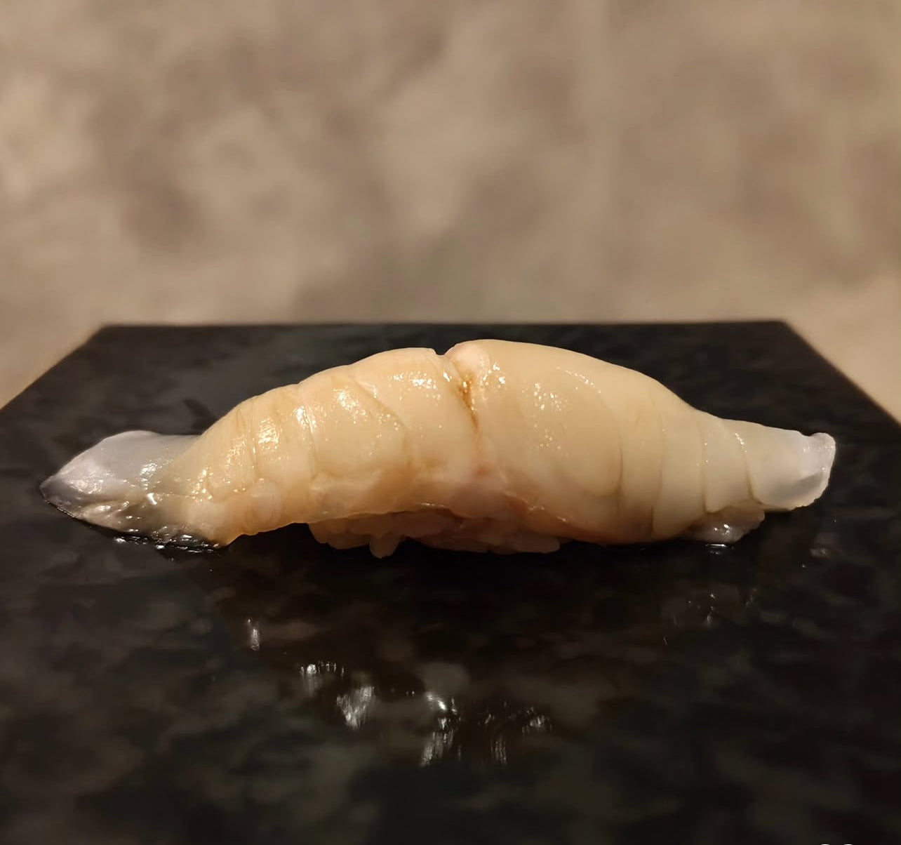 Premium Japanese King of Flounders(MATSUKAWA GAREI) 2.2~6.8LB