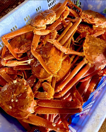 Premium Hokkaido Snow Crab (Zuwai-gani) 1.8~2.5LB