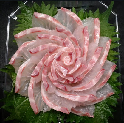 Premium Japanese Chicken Grunt(Isaki) 1.5~2.7LB