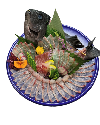 Premium Japanese Largescale Blackfish (Mejina / Gure) 1.8~ 3.4LB